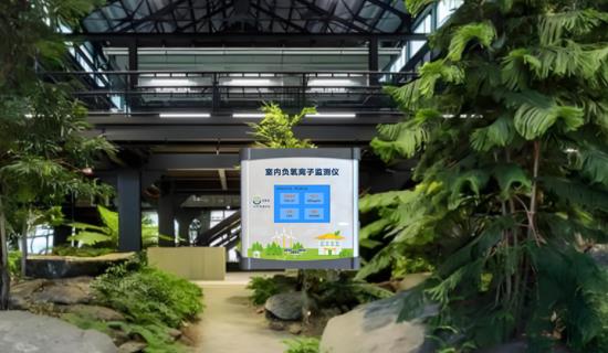 INDOOR NEGATIVE OXYGEN  ION MONITOR